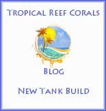 Tropical Reef Corals New Tank Build